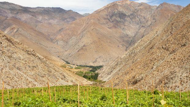 Viñedos de Alcohuaz - Image 2